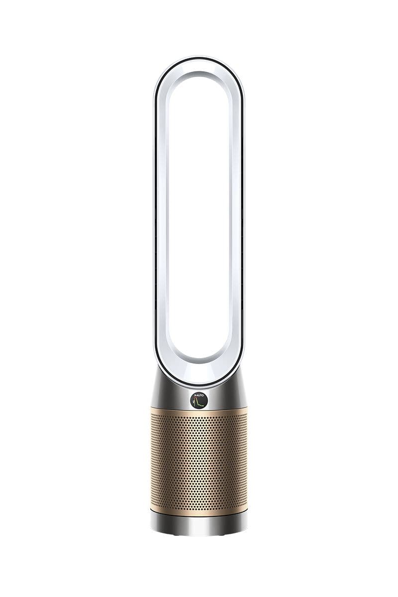 Dyson Purifier Cool PC2 De-NOx Branco Dourado